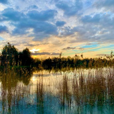 Coming back close to nature