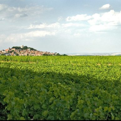 Our neighbours from Sologne and Berry