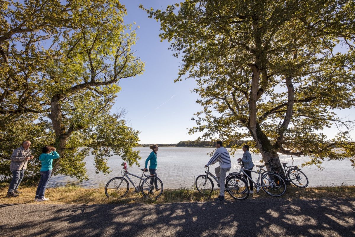 Balade à vélo en famille au coucher du soleil