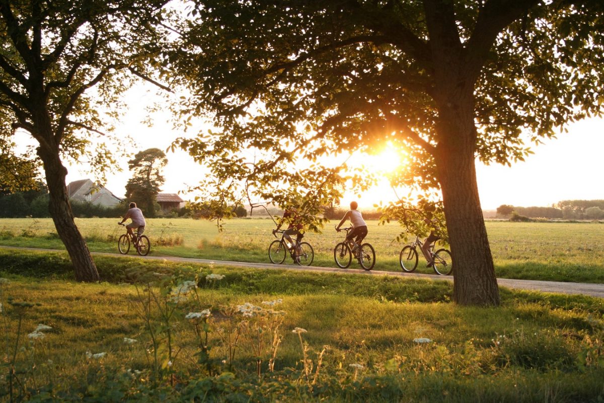 Balade à vélo en famille au coucher de soleil