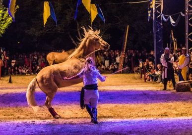Photo des nocturnes : le spectacle équestre