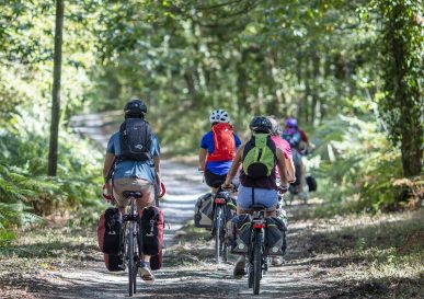 Cycling along the Sauldre canal