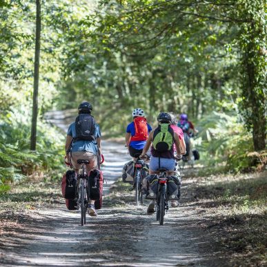 Cycling along the Sauldre canal