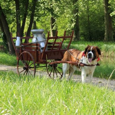 Walk with Gavotte and Op’Là