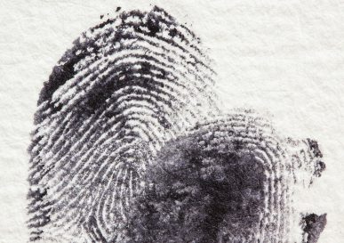 Murder party made in Berry