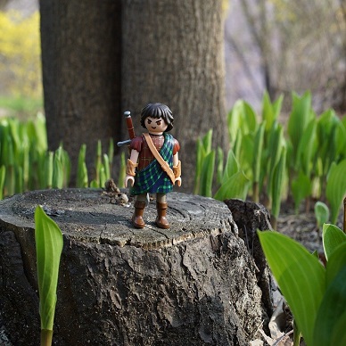 The city of the Stuarts