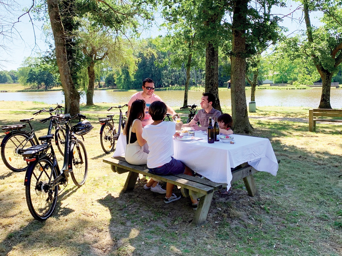 Where to picnic in Sauldre and Sologne ?