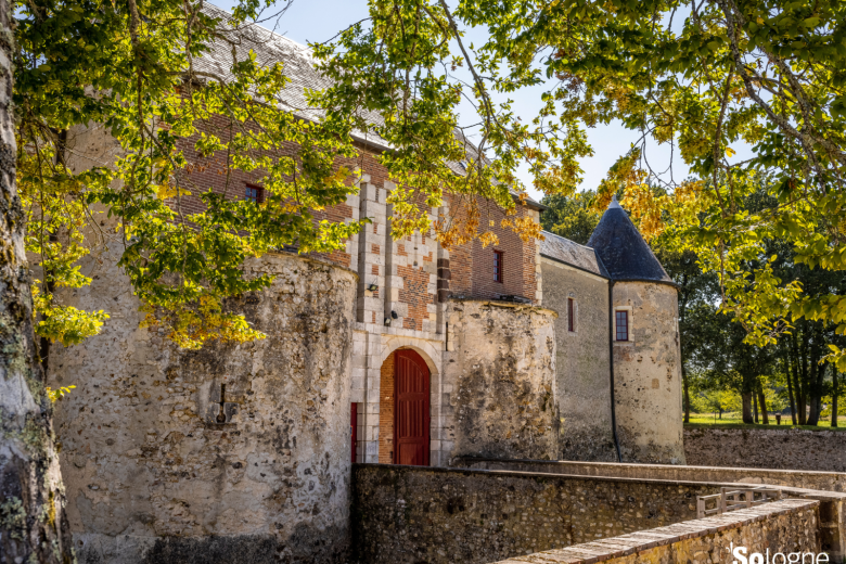 ©D.Darrault-Marque-Sologne (2)