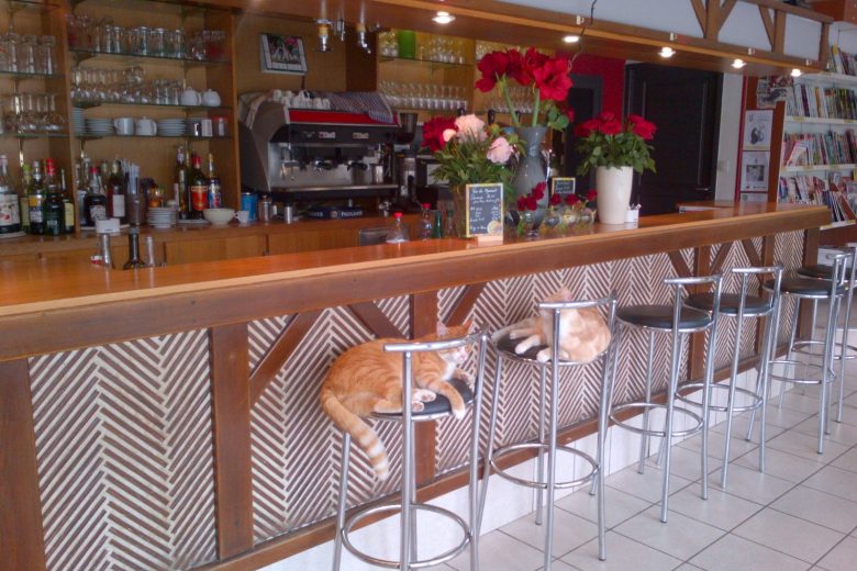 18-NANCAY-Caféducentre