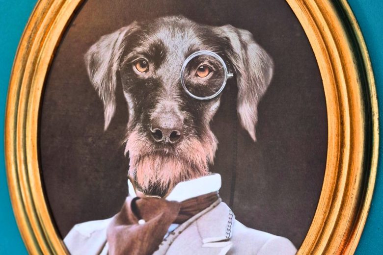 18ddfb19-c46f-4304-b176-f152cae73458