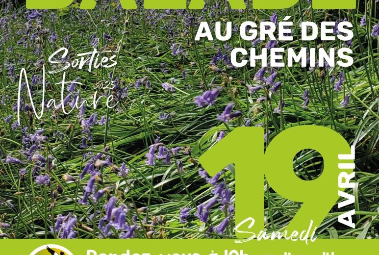 486958553_973705694958515_2394271604117589677_n