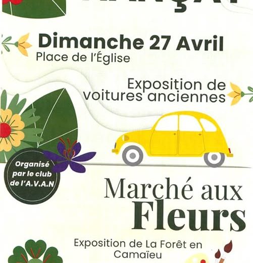 492396400_1236011865191950_4338502257931862325_n