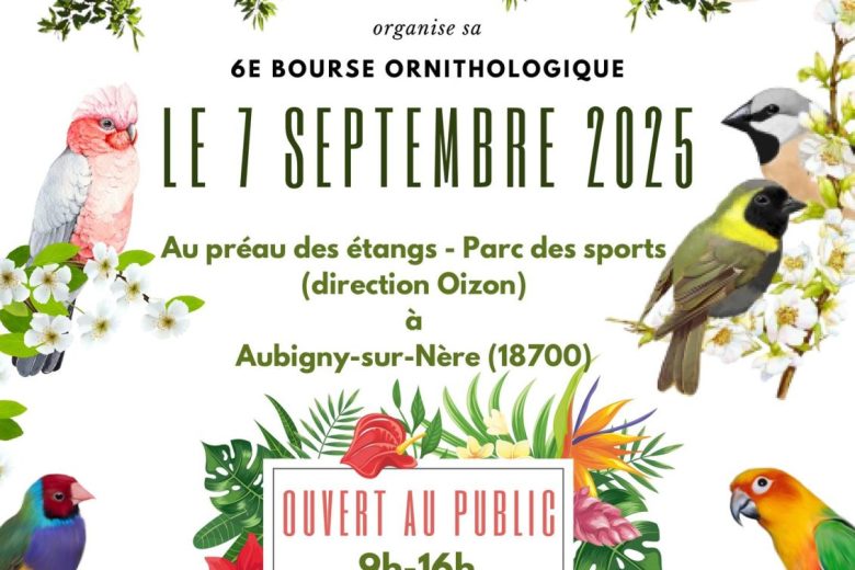 530635961_122221143296171309_8431780828289006342_n