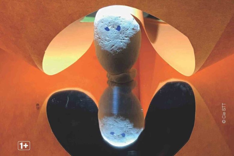 564502615_1171729211721820_3787026800909345984_n