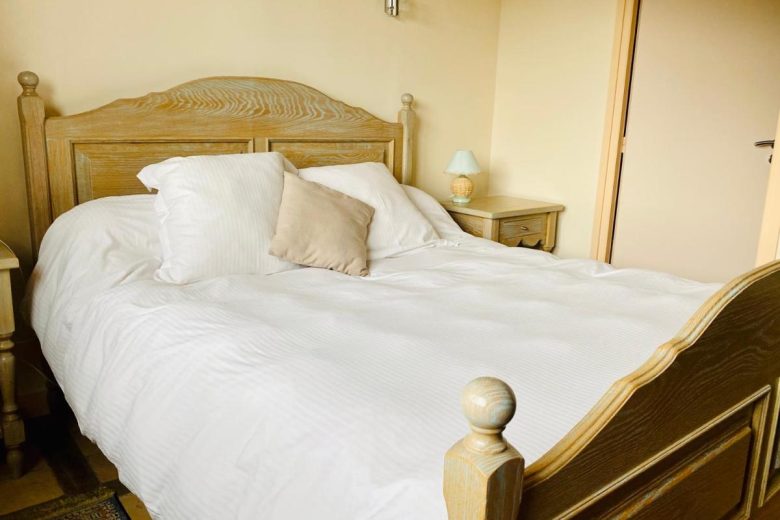 Chambre 7 – L’Antilope – Nançay