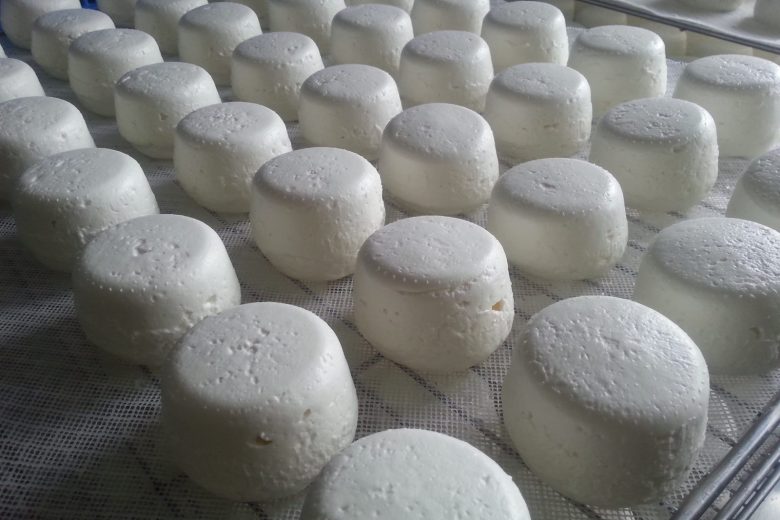 Chevrerie_PGodon_19_VTreney