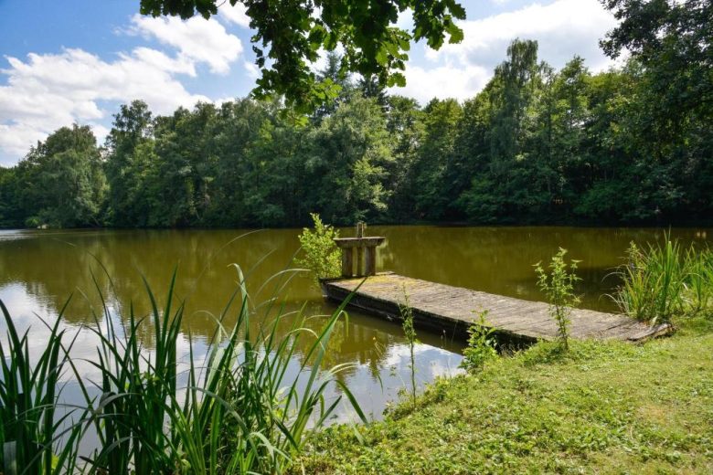 Etang – La Genetière – Méry-ès-Bois