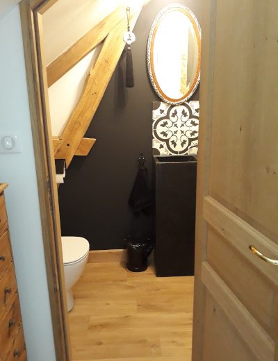 Meuble-de-tourisme-Aubigny-sur-Nere-Le-Buisson-de-la-Gariole-Salon-Toilettes