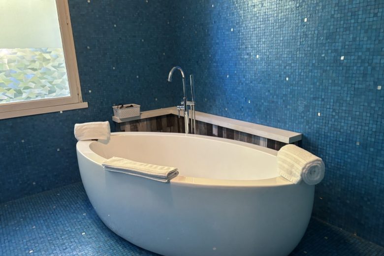 SDB 2 – Chambre Sensualité- Les Genebruyères