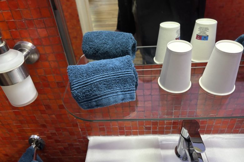 SDB 3 – Chambre L’envol – Les Genebruyères