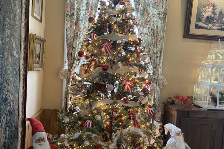 Sapin de Noel dans salon