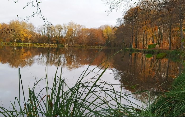 bassineries ©Paula Bert