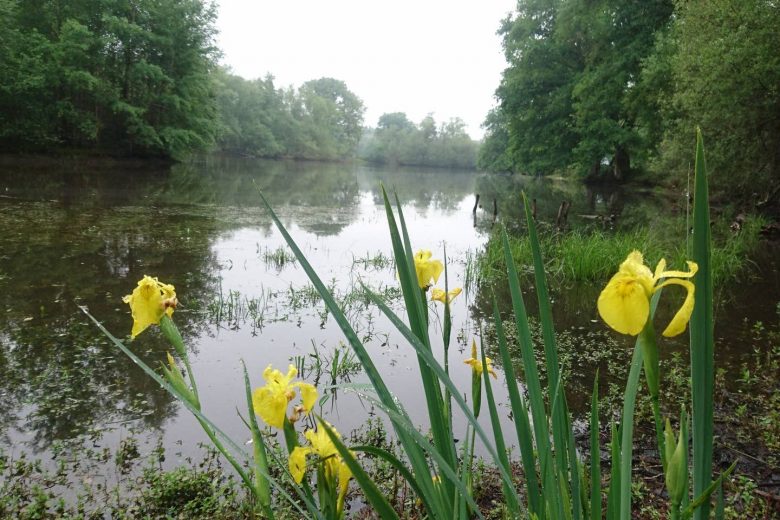 cd55ed13-f393-4868-ae0b-9b42331deee3