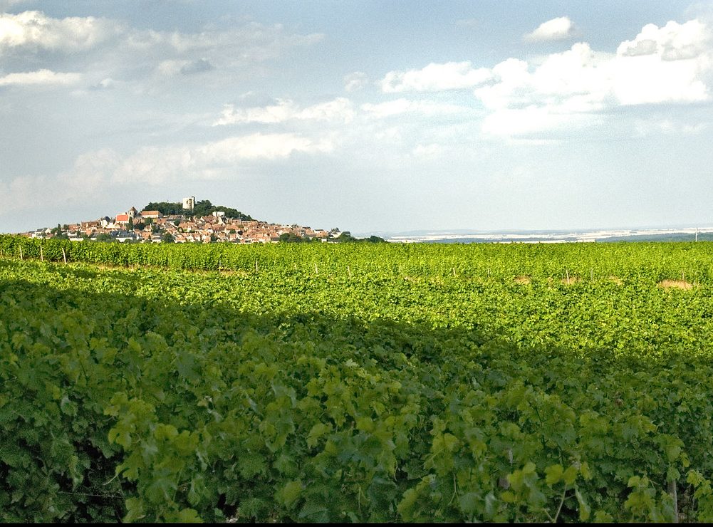 Clip touristique du Pays Sancerre-Sologne