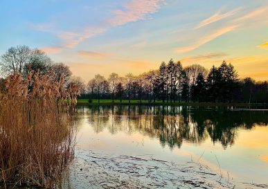 étang d'Aubigny au coucher du soleil
