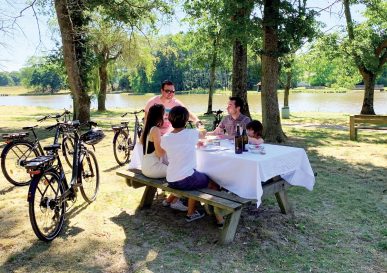 Top 3 des meilleurs spots pique-nique en Sauldre et Sologne !