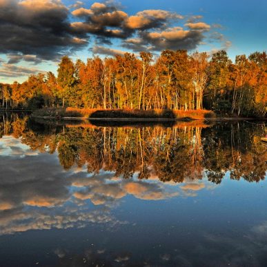 Que faire l’automne en Sauldre & Sologne ?