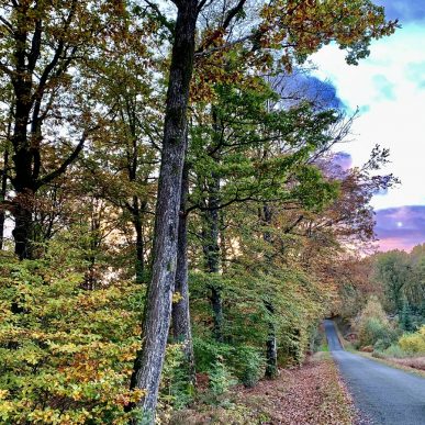 Venir en Sauldre & Sologne