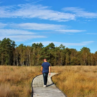 Ménétréol-sur-Sauldre