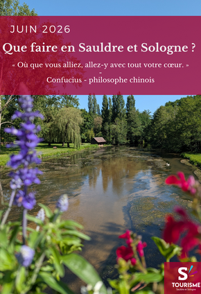 Newsletter – Juin 2026