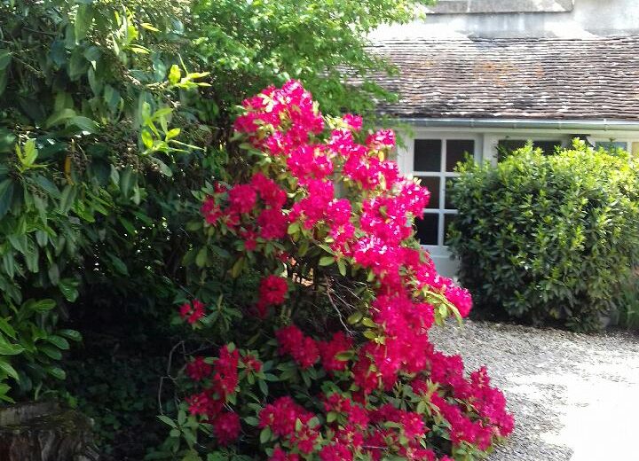 Extérieur – Gite St Martin – Brinon-sur-Sauldre