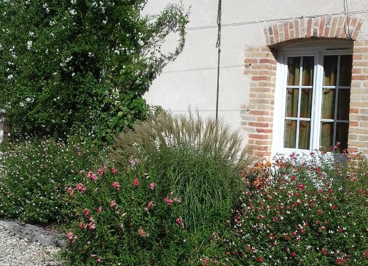 Extérieur 5 – Gite St Martin – Brinon-sur-Sauldre