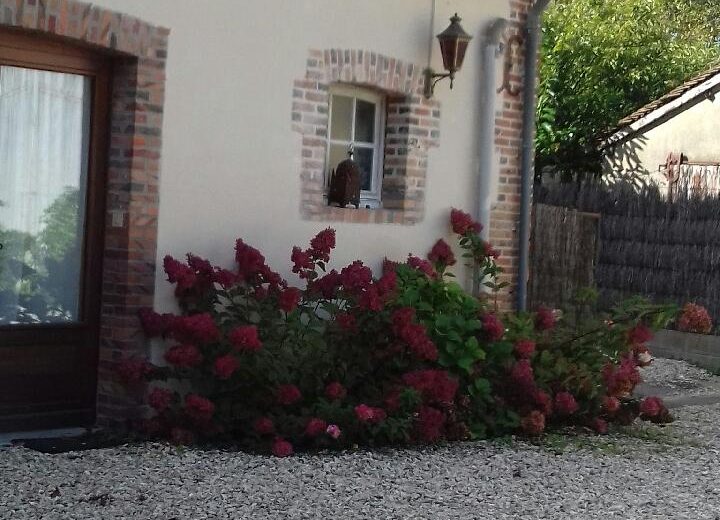 Extérieur 4- Gite St Martin – Brinon-sur-Sauldre