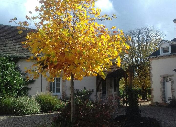 Extérieur 2- Gite St Martin – Brinon-sur-Sauldre