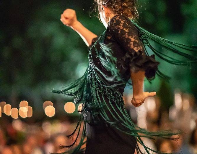 Photo – Flamenco – Argent-sur-Sauldre