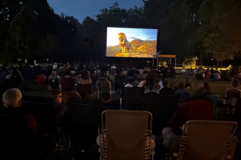 Photo – Cinéma en plein air – Aubigny-sur-Nère