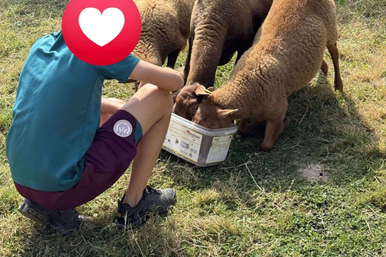 Photos – Ennordres