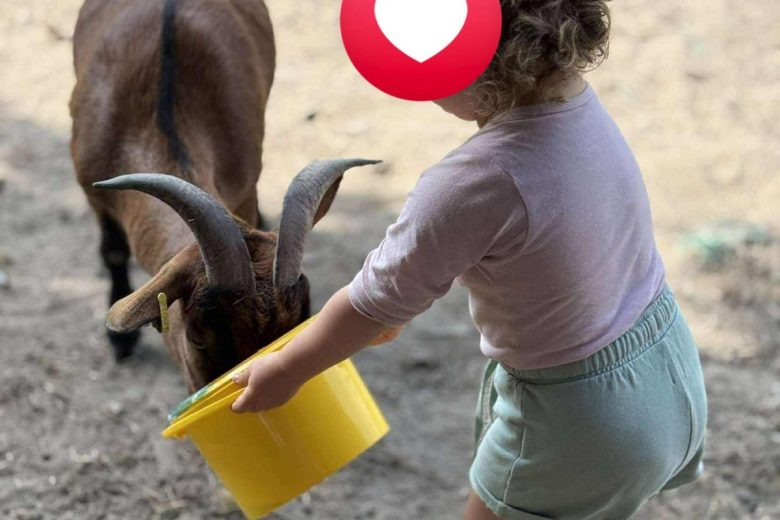 Photos – Ennordres