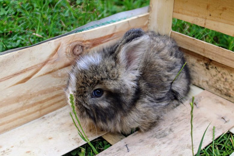 Photos – Ennordres