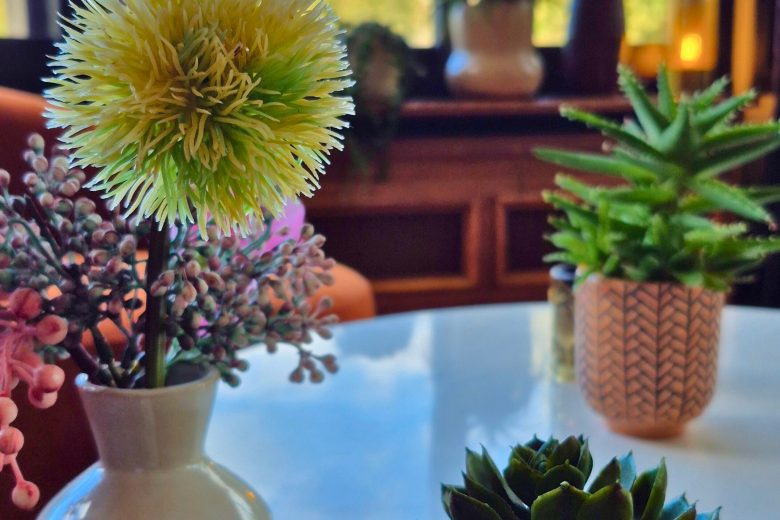 Salon – Manoir de la Sauldre – Argent-sur-Sauldre