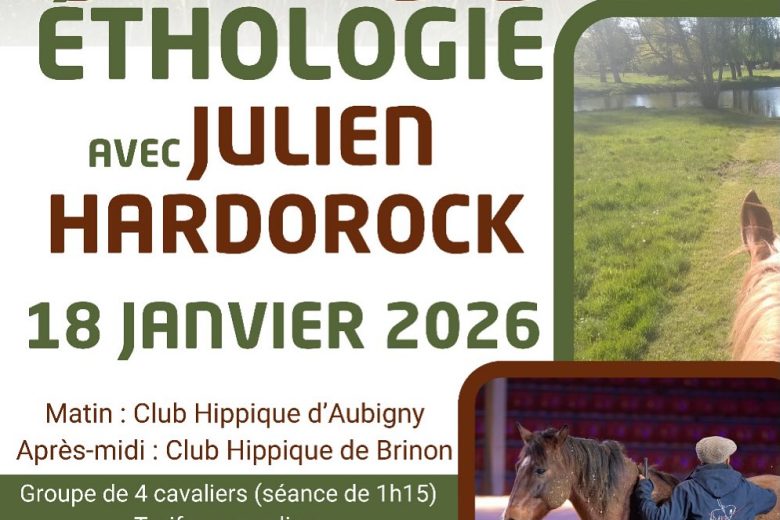 Affiche – Stage Ethologie – Aubigny Brinon