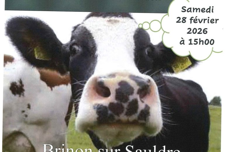 Affiche – spectacle – Brinon