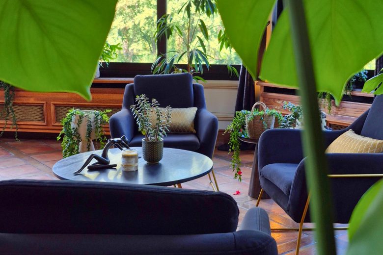 Salon – Manoir de la Sauldre – Argent-sur-Sauldre