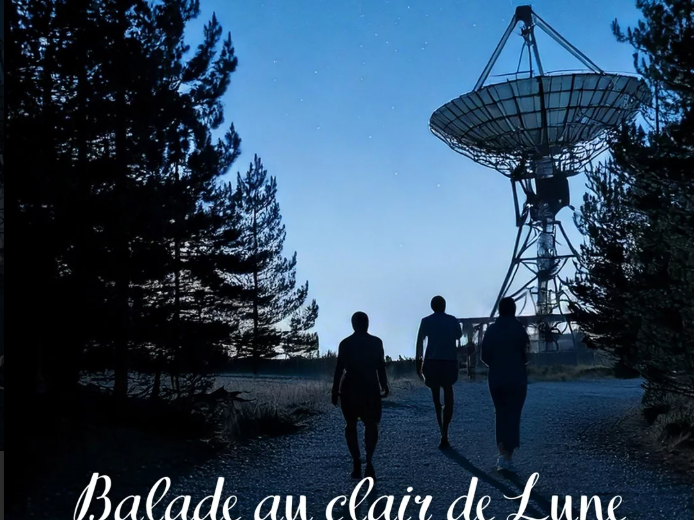 Balade au clair de lune