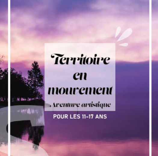 Affiche – territoire en mouvement
