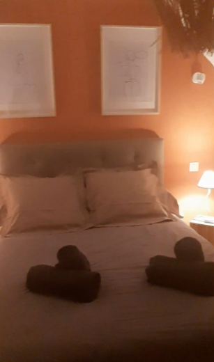 Chambre – Le Cocoon d’Eden – Nançay